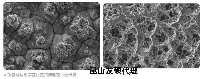 南开蔡司南开扫描电镜