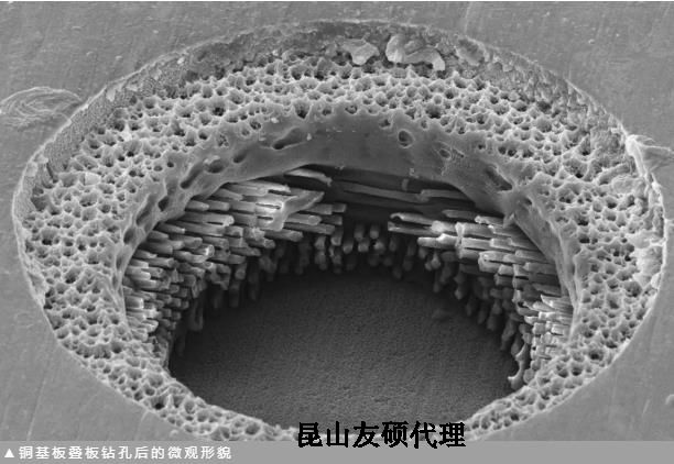 南开蔡司南开扫描电镜